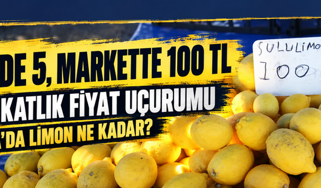 Bahçede 5, markette 100 TL! Tam 20 katlık fiyat uçurumu: Trakya'da limon ne kadar?
