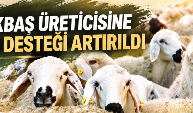 Küçükbaş üreticisine kredi desteği artırıldı