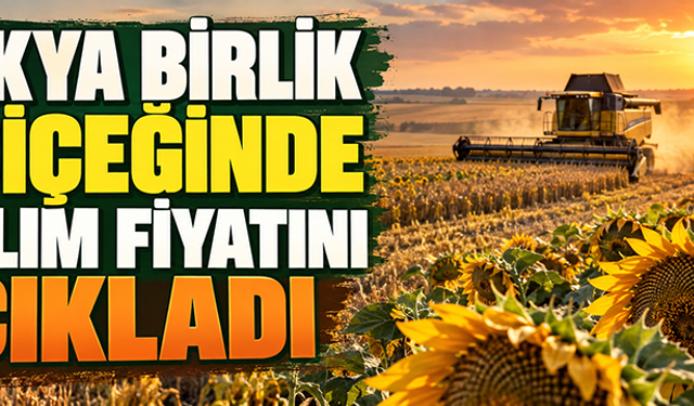 Trakya Birlik ayçiçeğinde ön alım fiyatını 37 bin TL olarak açıkladı