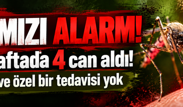 Kırmızı alarm! Batı Nil virüsü yayılıyor: Bir haftada 4 can aldı