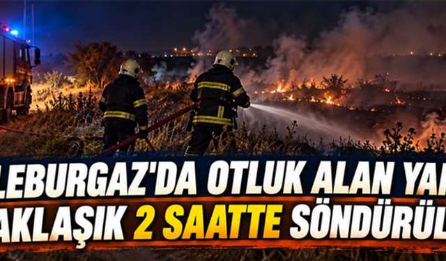 Kırklareli Lüleburgaz'da otluk alanda çıkan yangın yaklaşık 2 saatte söndürüldü