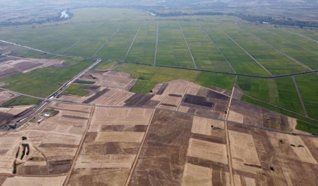 Edirne'de atıl tarlalara 7 günlük son çağrı! İşlemeyen toprak kiraya çıkıyor