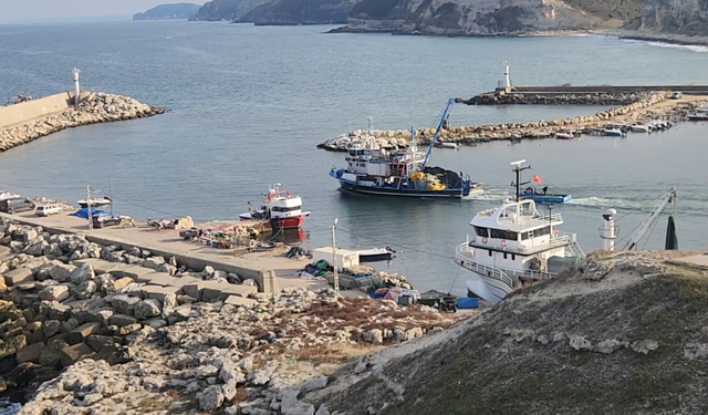Kıyıköy'de palamut sessizliği! Balıkçılar 10 gündür eli boş dönüyor