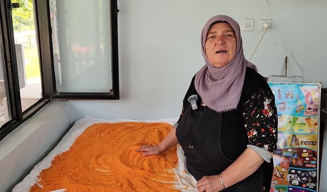 Vize'de Meral teyzenin kış hazırlığı! Topladığı meyveleri lezzete dönüştürüyor...MARMARA HABER'e evinin kapılarını açtı