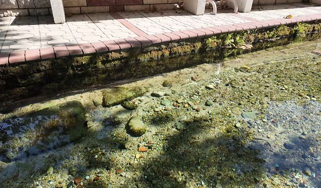 Romanya'dan Kırklareli'ne uzanan esrarengiz hikaye! Kaynarca'daki gizemli su...MARMARA HABER görüntüledi