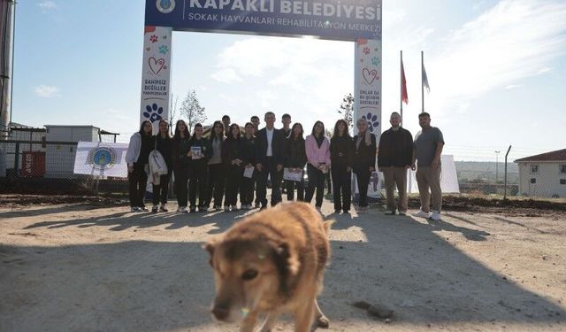 Öğrencilerden sokak hayvanlarına mama desteği!