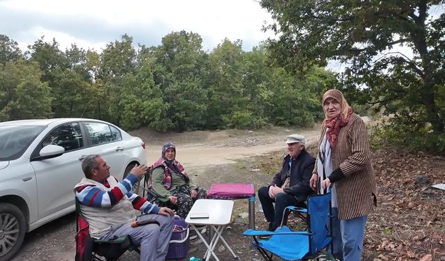 Hayaller mantar gerçekler orman havası! Sepetler boş kaldı piknik örtüleri açıldı! MARMARA HABER Istranca'da görüntüledi