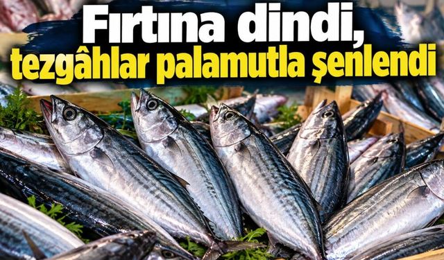 Fırtına dindi, tezgâhlar palamutla şenlendi