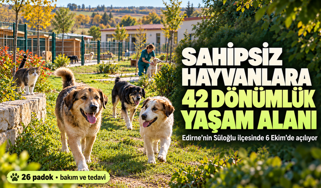 Edirne'de sahipsiz hayvanlar için 42 dönümlük doğal yaşam alanı açılıyor
