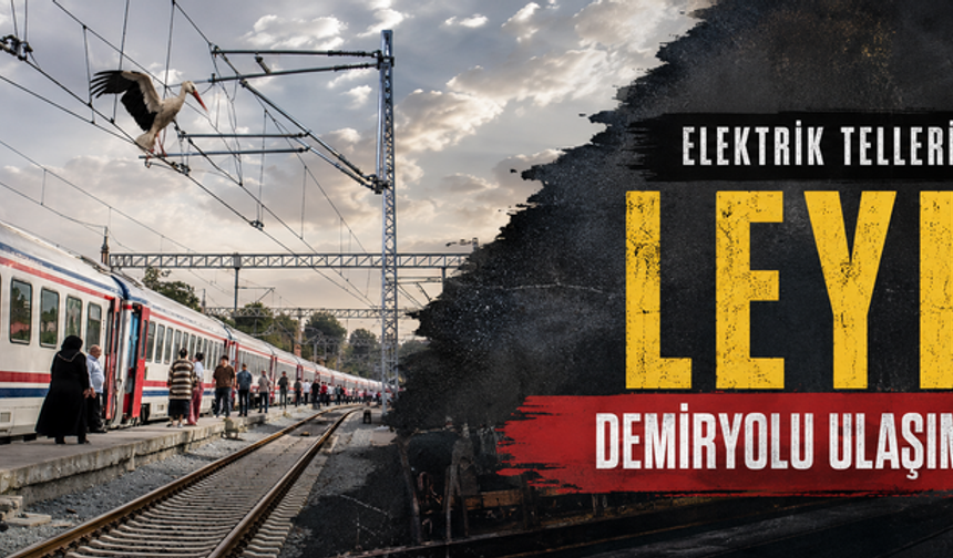Elektrik tellerine takılan leylek demir yolu ulaşımını aksattı