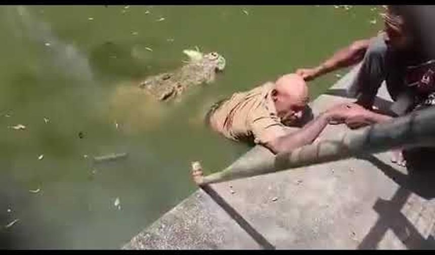 Papua Yeni Gine'de dehşet! Beslediği timsahın kurbanı oldu