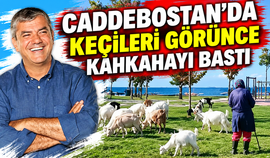 Caddebostan'da keçileri görünce kahkahayı bastı