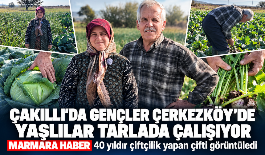 Çakıllı'da gençler Çerkezköy'de yaşlılar tarlada çalışıyor! MARMARA HABER 40 yıldır çiftçilik yapan çifti görüntüledi