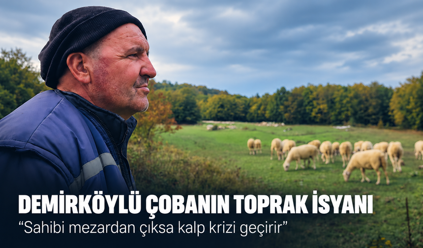 Demirköylü çobanın toprak isyanı! Sahibi mezardan çıksa kalp krizi geçirir