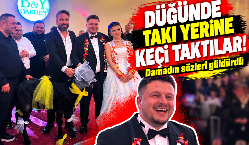 Düğünde takı yerine keçi taktılar! Damadın sözleri  güldürdü