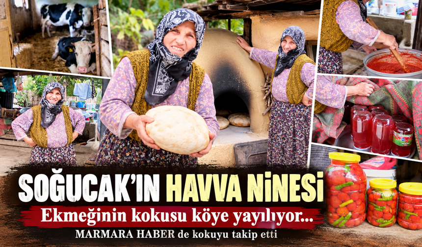 Soğucak'ın Havva Ninesi! Ekmeğinin kokusu köye yayılıyor...MARMARA HABER' de kokuyu takip etti