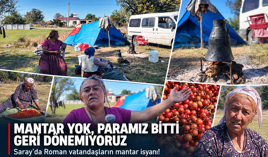 Saray'da Roman vatandaşların mantar isyanı! Mantar yok, paramız bitti, geri dönemiyoruz