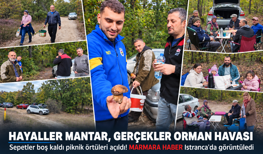 Hayaller mantar gerçekler orman havası! Sepetler boş kaldı piknik örtüleri açıldı! MARMARA HABER Istranca'da görüntüledi