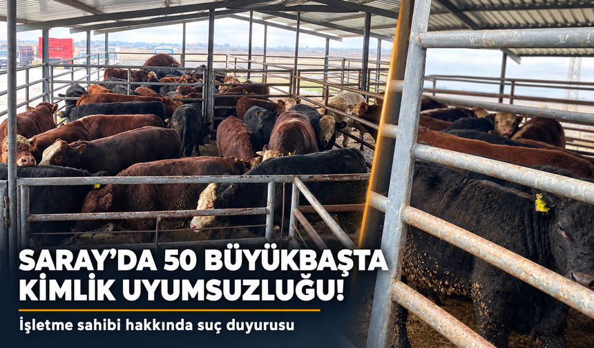 Tekirdağ’da 50 büyükbaş hayvanda kimlik uyuşmazlığı tespit edildi