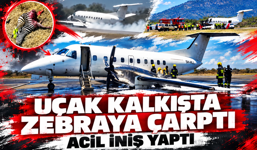 Uçak kalkışta zebraya çarptı, acil iniş yaptı