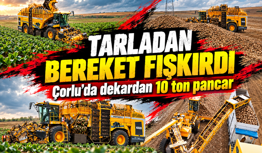 Çorlu'da tarladan bereket fışkırdı! Dekardan 10 ton pancar