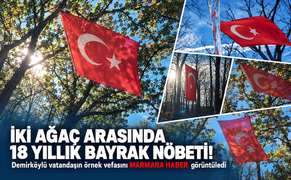 İki ağaç arasında 18 yıllık bayrak nöbeti! Demirköylü vatandaşın örnek vefasını MARMARA HABER görüntüledi