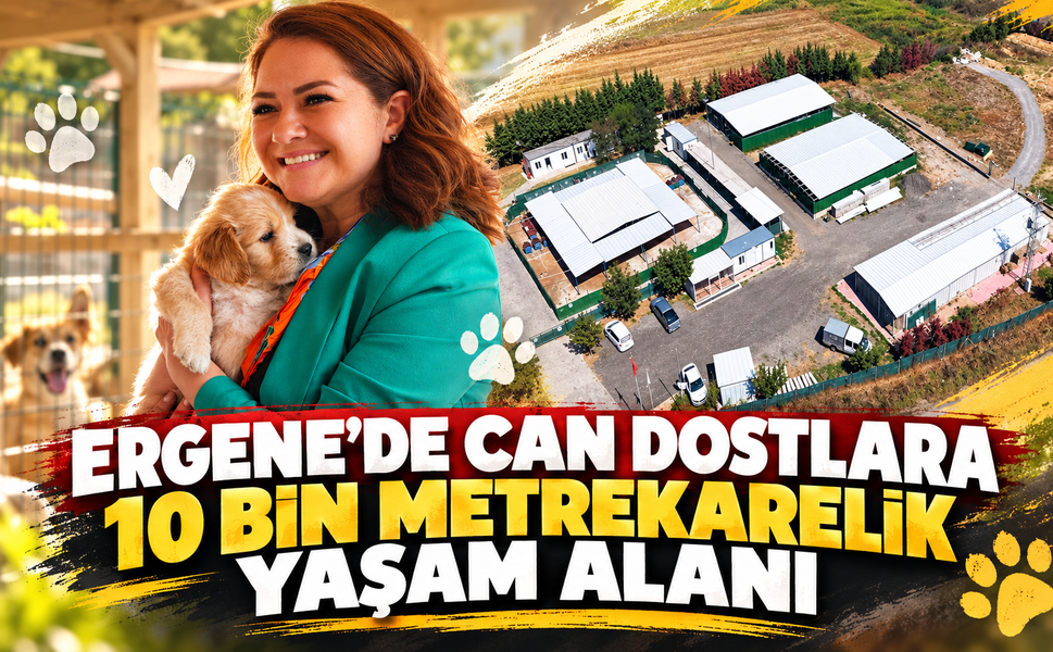 Ergene'de can dostlara 10 bin metrekarelik yaşam alanı