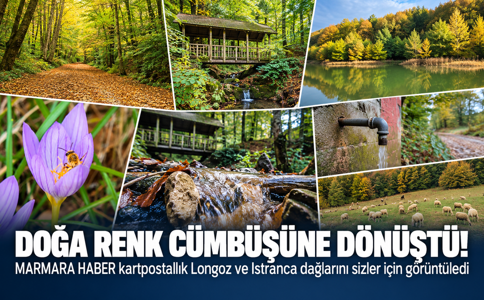 Doğa renk cümbüşüne dönüştü! MARMARA HABER kartpostallık Longoz ve Istranca dağlarını sizler için görüntüledi