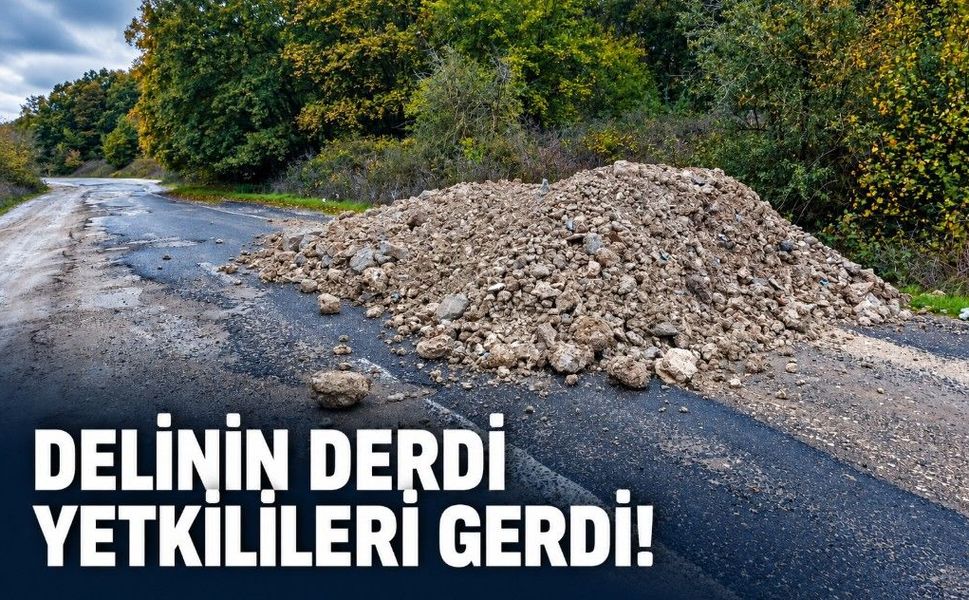 Delinin derdi yetkilileri gerdi!