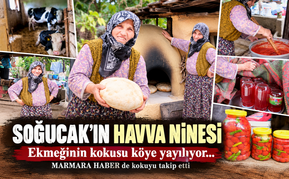 Soğucak'ın Havva Ninesi! Ekmeğinin kokusu köye yayılıyor...MARMARA HABER' de kokuyu takip etti
