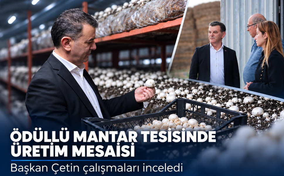 Ödüllü mantar tesisinde üretim mesaisi