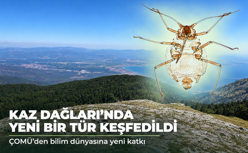 Kaz Dağları'nda yeni bir böcek türü keşfedildi