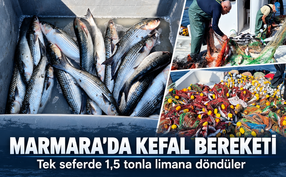 Marmara'da kefal bereketi! Tek seferde 1,5 tonla limana döndüler