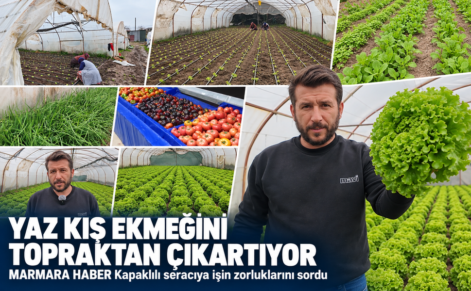 Yaz kış ekmeğini topraktan çıkartıyor! MARMARA HABER Kapaklılı seracıya işin zorluklarını sordu