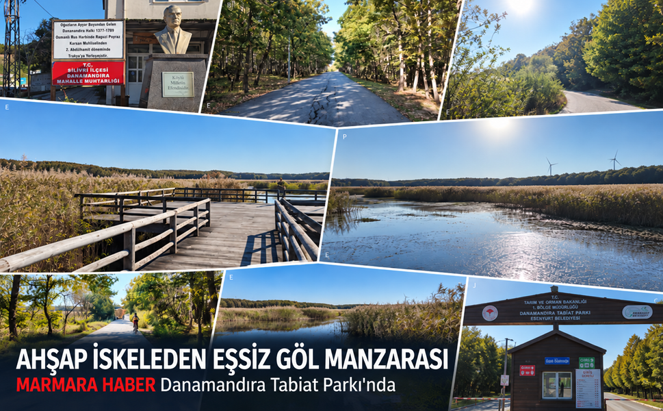 Ahşap iskeleden eşsiz göl manzarası! MARMARA HABER Danamandıra Tabiat Parkı'nda