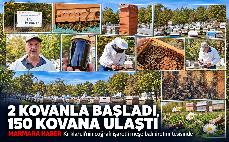 İki kovanla başladı, 150 kovana ulaştı! MARMARA HABER Kırklareli'nin coğrafi işaretli meşe balı üretim tesisinde