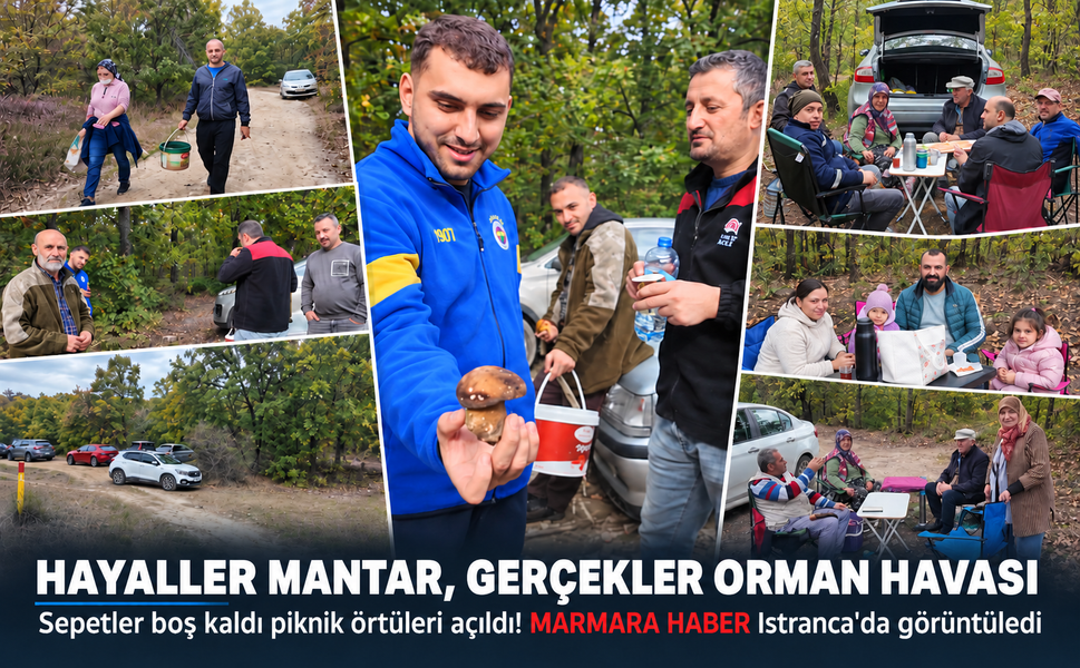 Hayaller mantar gerçekler orman havası! Sepetler boş kaldı piknik örtüleri açıldı! MARMARA HABER Istranca'da görüntüledi