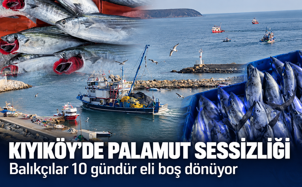 Kıyıköy'de palamut sessizliği! Balıkçılar 10 gündür eli boş dönüyor