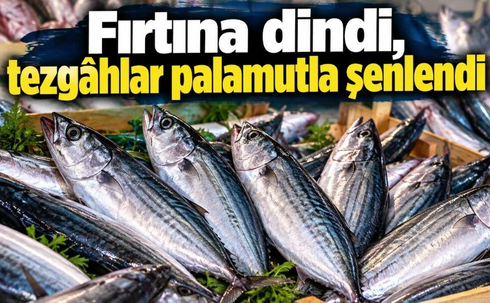 Fırtına dindi, tezgâhlar palamutla şenlendi