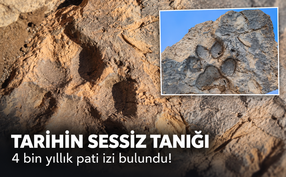 4 bin yıllık pati izi bulundu! Tarihin sessiz tanığı