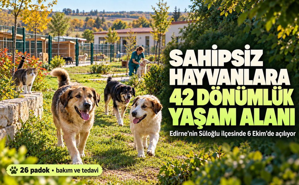 Edirne'de sahipsiz hayvanlar için 42 dönümlük doğal yaşam alanı açılıyor