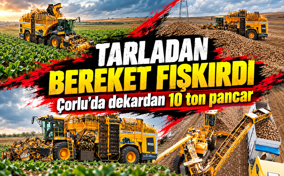 Çorlu'da tarladan bereket fışkırdı! Dekardan 10 ton pancar