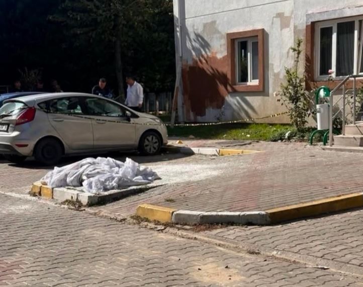 7. Kattan Düştü