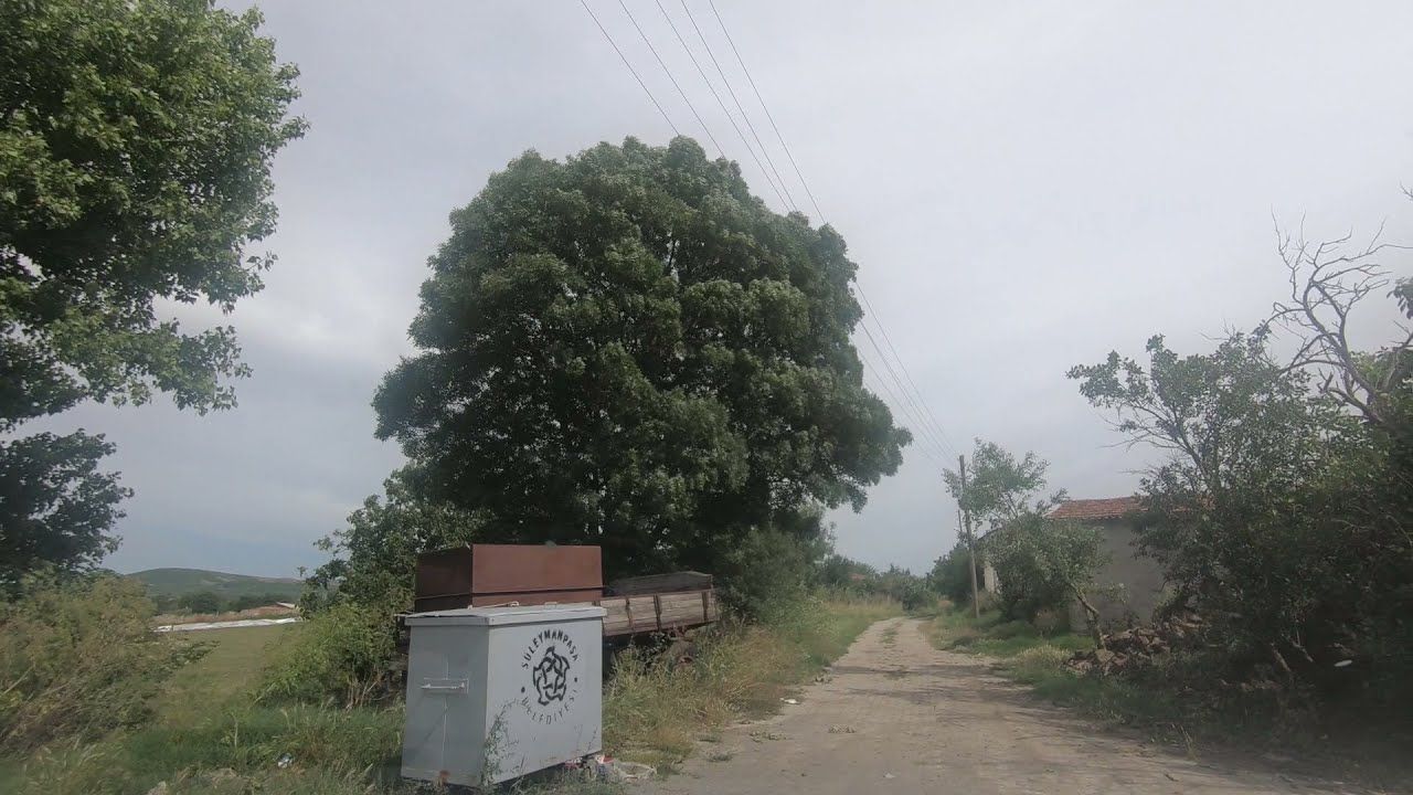 Ahmedikli6