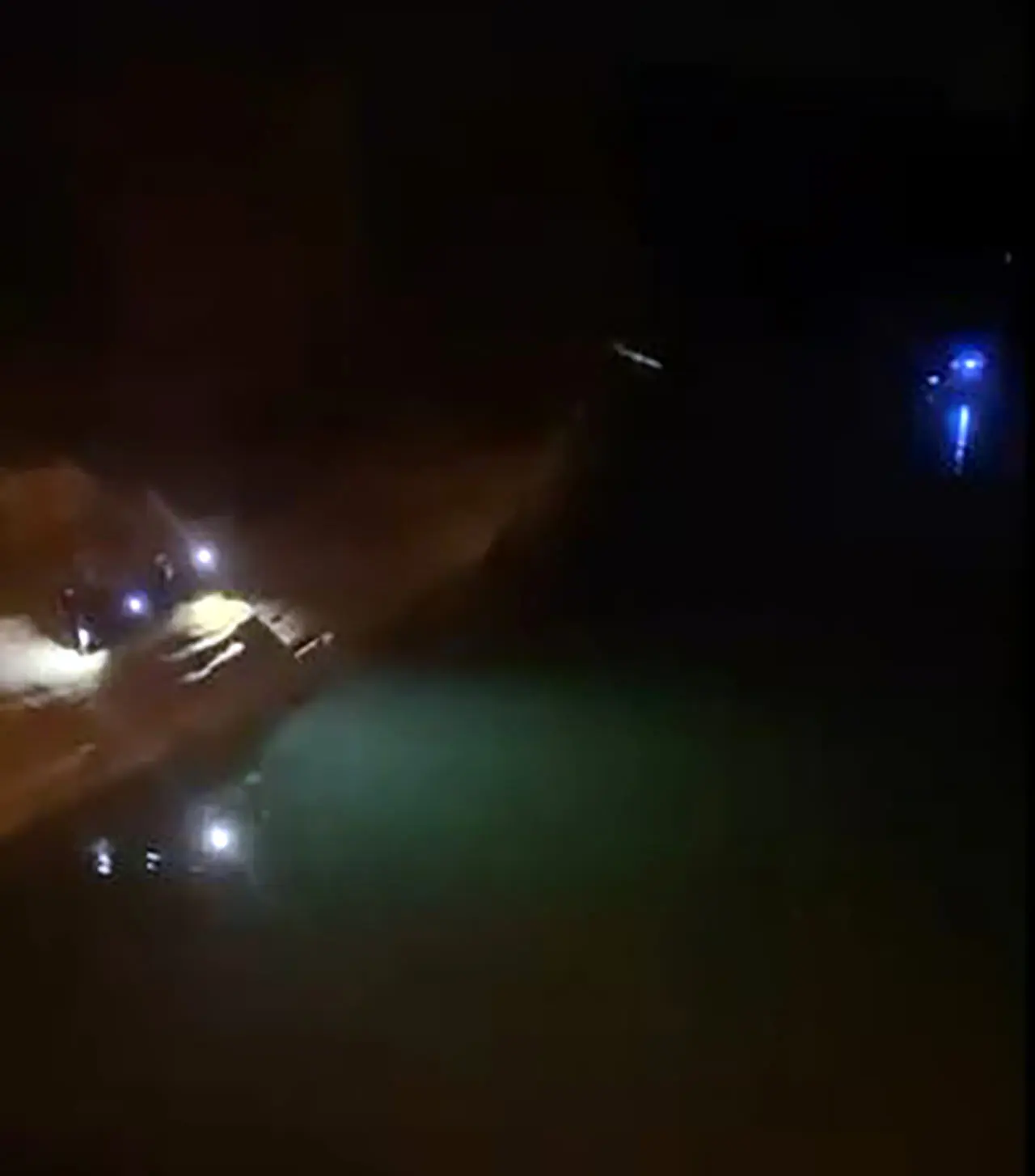 Balık1