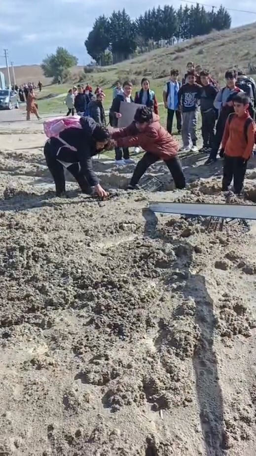 Bataklık1