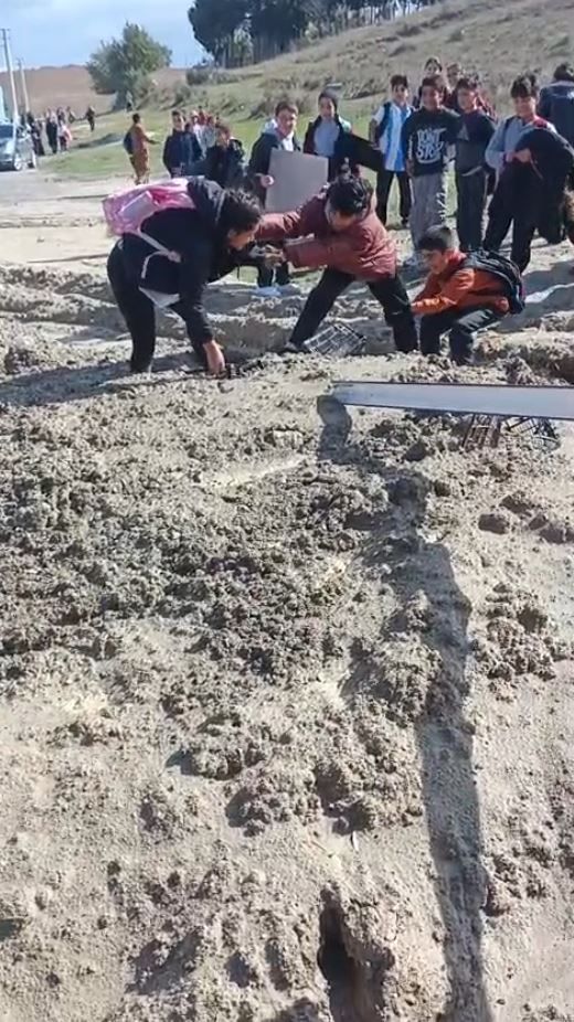 Bataklık2X