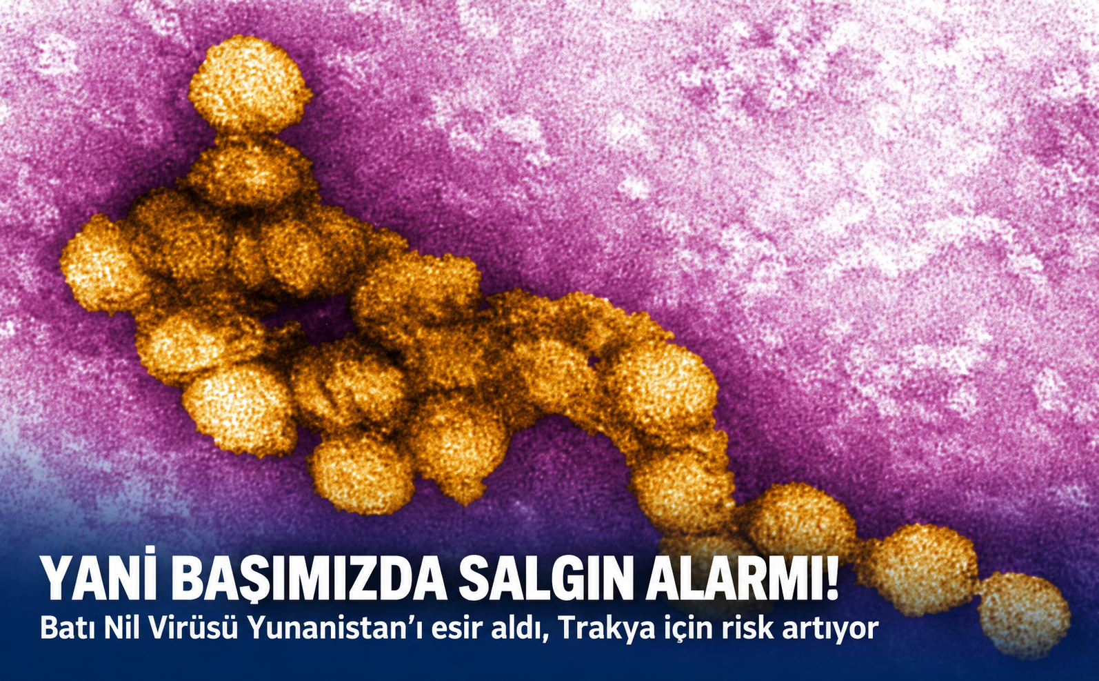 Bati Ni̇l Vi̇rüsü