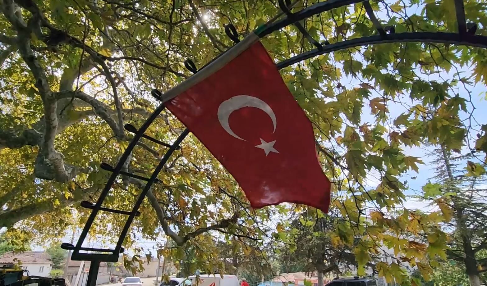 Çınar