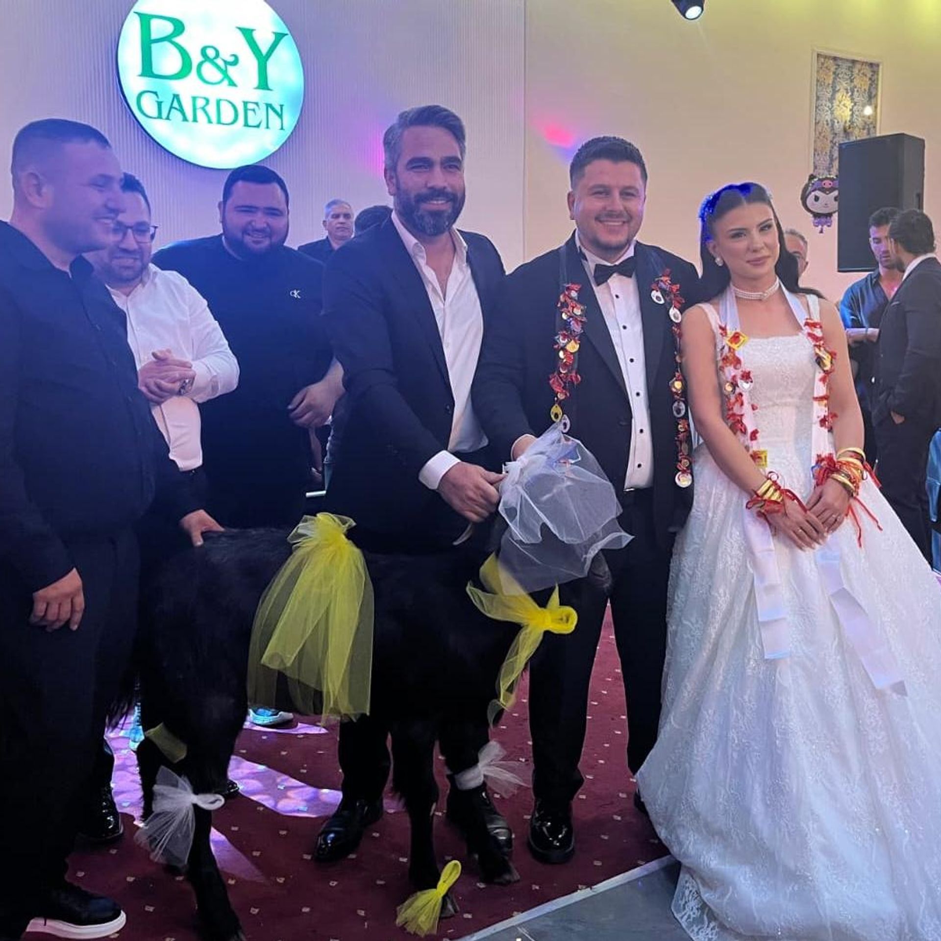 Damat1